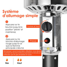 Load image into Gallery viewer, Parasol Chauffage Extérieur à Gaz 13KW Réflecteur 82cm avec Dispositif de Anti-basculement Tube 2 Roues Fluide 220cm Noir -
