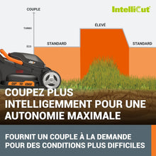 Load image into Gallery viewer, Pack Pro+ Tondeuse à Gazon 40V 460m² + Coupe-Bordures 20V + 2 Batteries 4Ah et 1 Batterie 2Ah + Chargeur Double et Chargeur Simple (Idéal pour l'Entretien du Jardin)