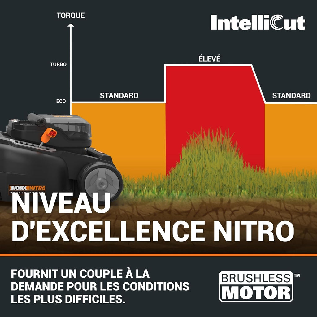 Pack Pro+ Tondeuse à Gazon 40V 460m² + Coupe-Bordures 20V + 2 Batteries 4Ah et 1 Batterie 2Ah + Chargeur Double et Chargeur Simple (Idéal pour l'Entretien du Jardin)