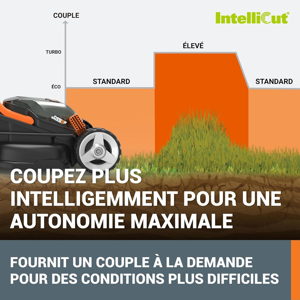 Pack Pro+ Tondeuse à Gazon 40V 460m² + Coupe-Bordures 20V + 2 Batteries 4Ah et 1 Batterie 2Ah + Chargeur Double et Chargeur Simple (Idéal pour l'Entretien du Jardin)